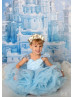 Light Blue Organza Frozen Lace Up Back Flower Girl Dress